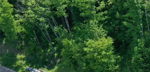 27 Fresh Tracks Way, Mansfield, NY 14731