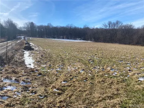 0 Pangburn And Wightman Rd, Wirt, NY 14739