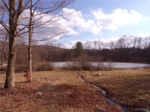 9761 Hewitt Rd, Clarksville, NY 14727