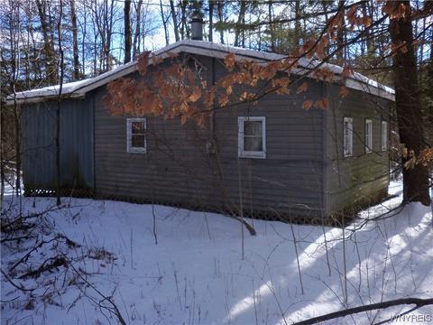 9236 Hoyett Rd, Clarksville, NY 14727