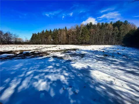 11298 Bolton Rd, Yorkshire, NY 14141