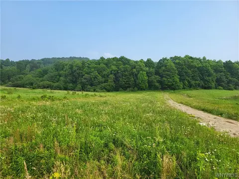 Nnn Nys Route 242, Franklinville, NY 14737