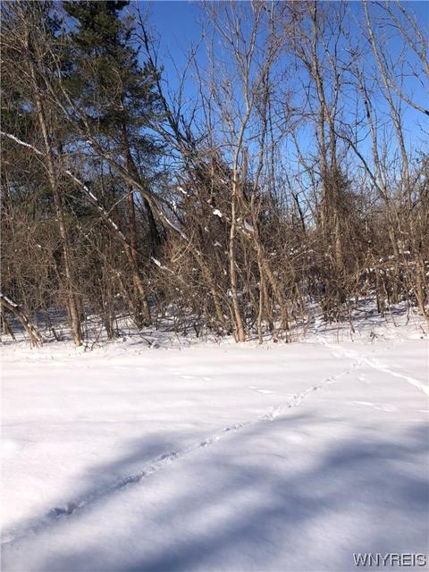 8470 Goodrich Rd, Clarence, NY 14032