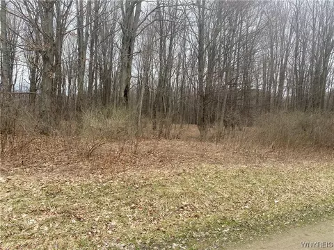 00 Bull Rd, Burns, NY 14807