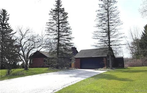 11345 Big Tree Rd, Wales, NY 14052