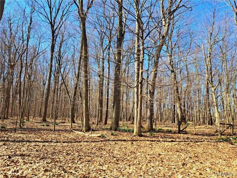 11865 Stage Rd, Newstead, NY 14001