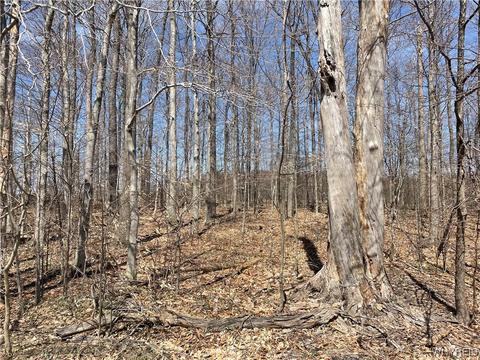 Vl Heath Road, Colden, NY 14033