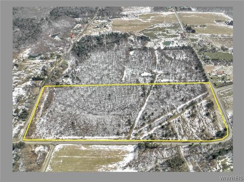 V/l Transit Line And Belcher Road, Concord, NY 14141