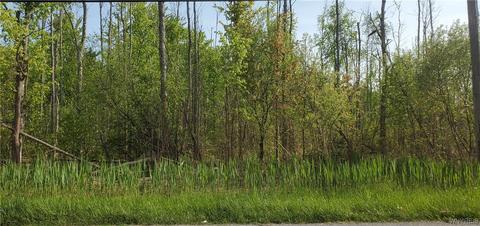 9881 Lapp Rd, Clarence, NY 14032