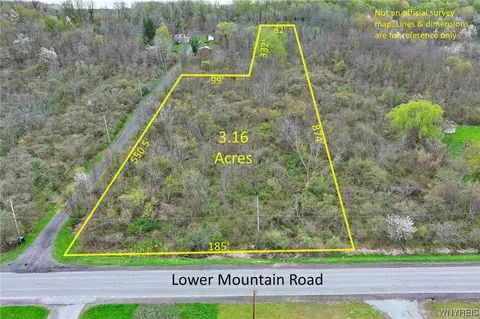 V/l Lower Mountain Rd, Cambria, NY 14132