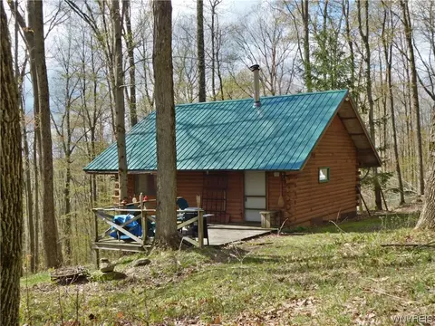 3658 Moulton Rd, Clarksville, NY 14727