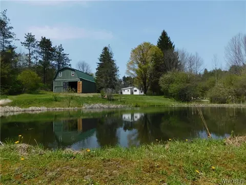 6423 Snyder Rd, Lyndon, NY 14727