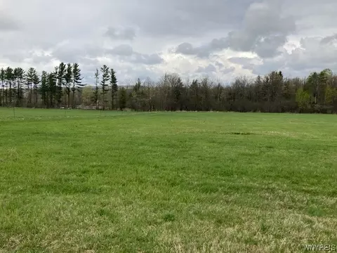 Undisclosed, Farmersville, NY 14737