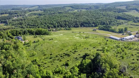 10033 Sawmill Run Rd, Napoli, NY 14755