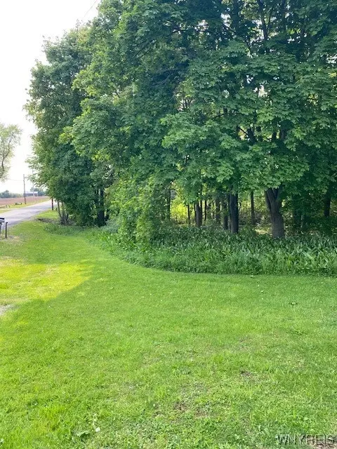 Vl Telegraph Road, Ridgeway, NY 14103