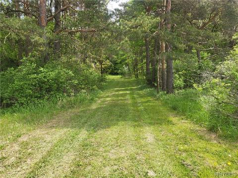 0 Vl Dutch Hill Rd, Ashford, NY 14171