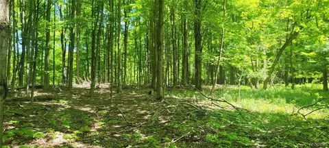 10 27 Acres Clinton St, Bennington, NY 14037