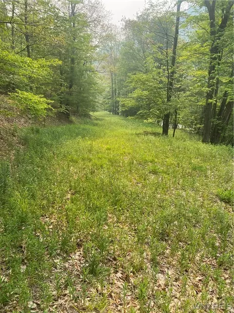 0 State Route 417 E, Bolivar, NY 14715