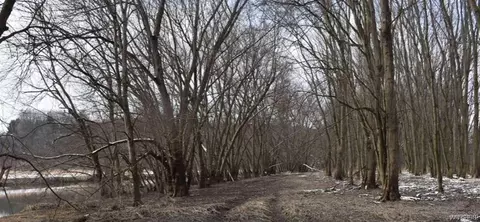 V/l Dollof Road, Poland, NY 14733