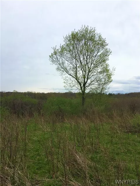 Vl Hayes Hollow Rd, Colden, NY 13833
