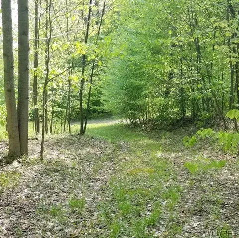 Vl Forest Glen, Hinsdale, NY 14743
