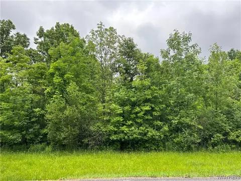 Vl Mcclew Road, Newfane, NY 14028
