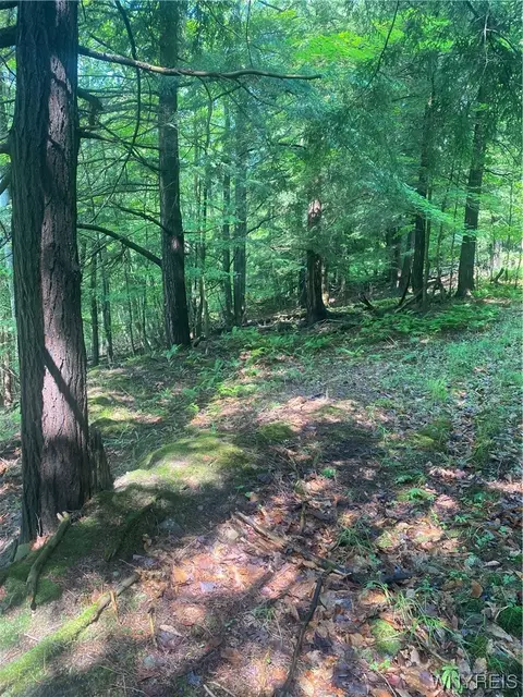 V/l State Route 417 E, Bolivar, NY 14715