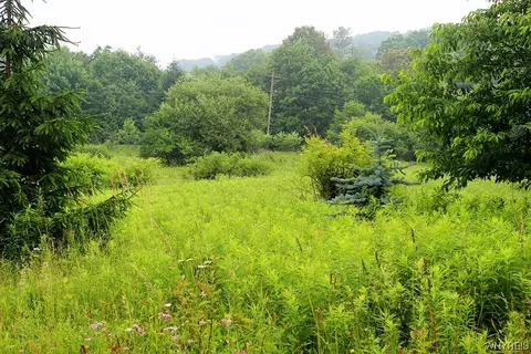 Vl Dublin Hollow Road, Mansfield, NY 14731