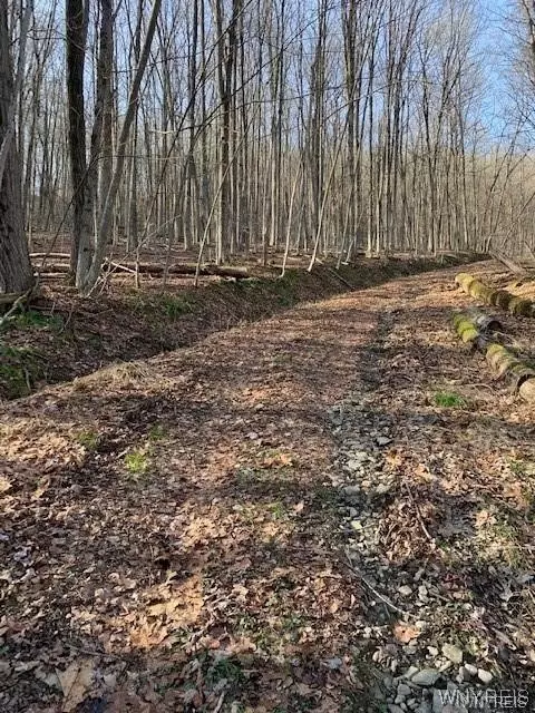 Undisclosed, Little Valley, NY 14755