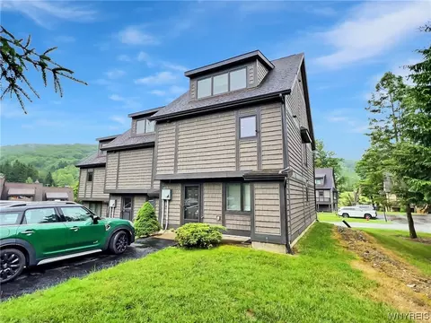 87 Woods Rd-the Woods, Ellicottville, NY 14731