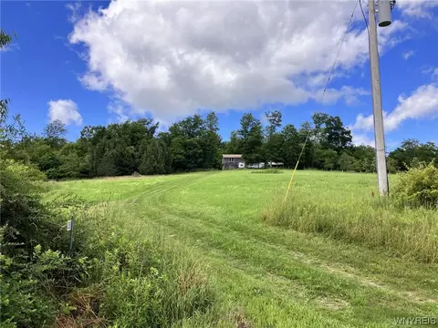 8038 Utley Rd, East Otto, NY 14729