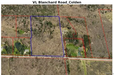 Vl Blanchard Road, Colden, NY 14033