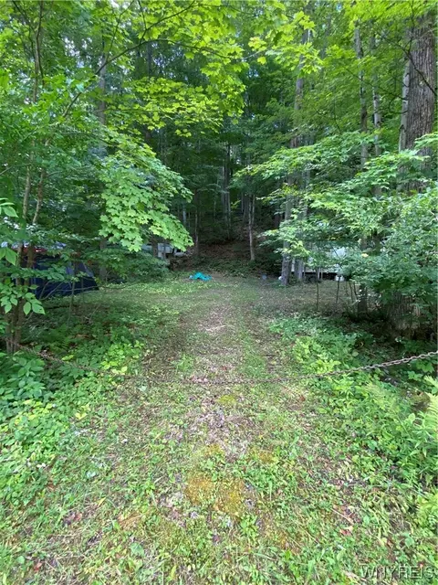 8633 County Road 49, Rushford, NY 14717