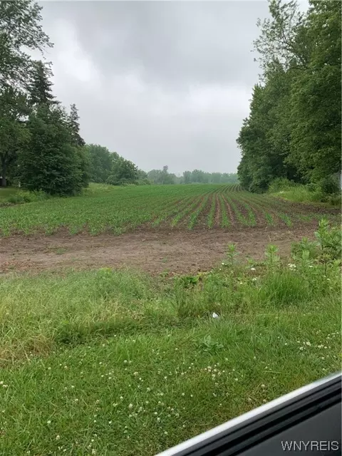 V/l Tonawanda Creek N Road, Pendleton, NY 14120