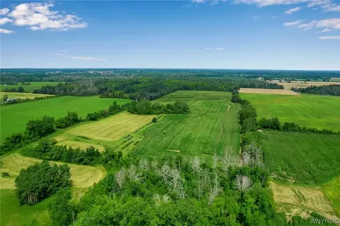 0 Chestnut Ridge Rd, Royalton, NY 14105