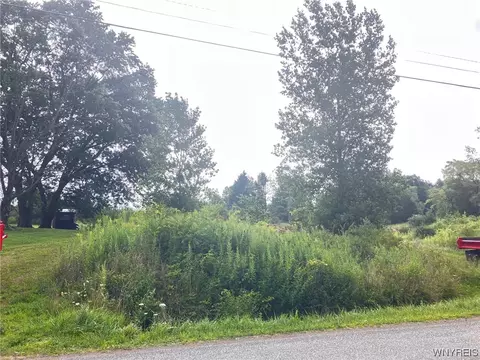 Vl S Hill Road, Colden, NY 14033