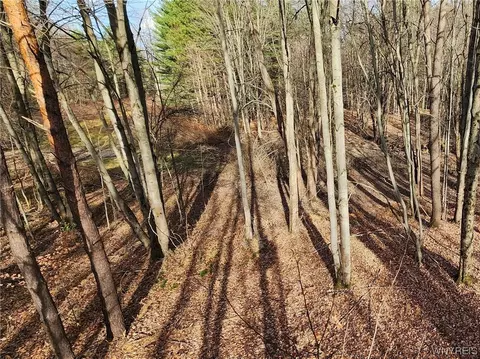 Vl Greenbush Road E, Newstead, NY 14001