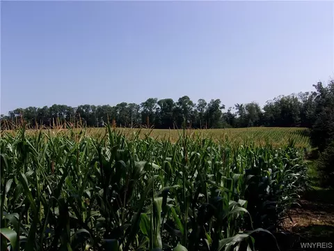 0 Vl Worden Rd, Yorkshire, NY 14042