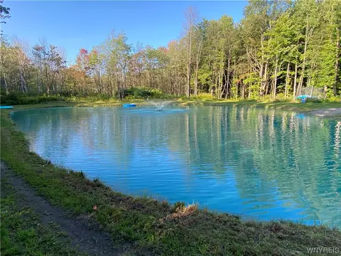 4685 Poplar Tree Rd, Wethersfield, NY 14066 photo 31