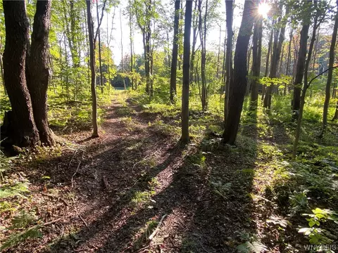 4685 Poplar Tree Rd, Wethersfield, NY 14066 photo 48