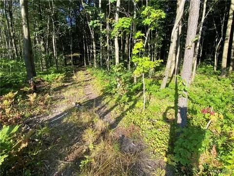 4685 Poplar Tree Rd, Wethersfield, NY 14066 photo 45