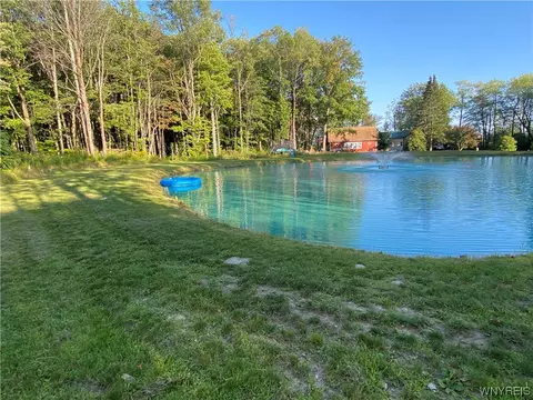 4685 Poplar Tree Rd, Wethersfield, NY 14066 photo 34