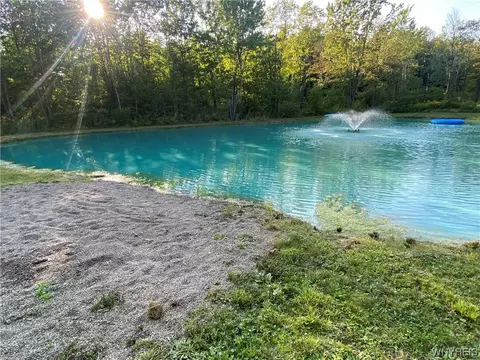 4685 Poplar Tree Rd, Wethersfield, NY 14066 photo 36