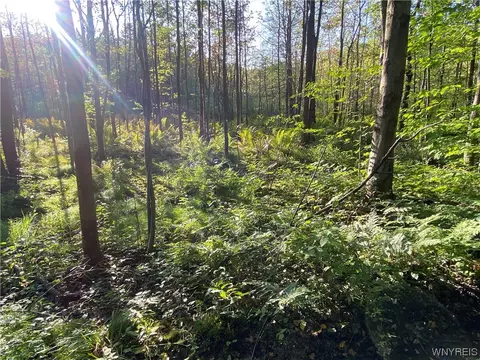 4685 Poplar Tree Rd, Wethersfield, NY 14066 photo 50