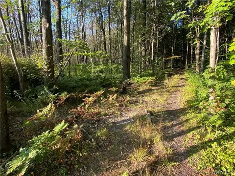 4685 Poplar Tree Rd, Wethersfield, NY 14066 photo 46