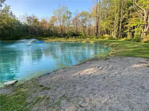 4685 Poplar Tree Rd, Wethersfield, NY 14066 photo 37