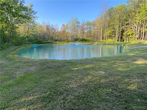 4685 Poplar Tree Rd, Wethersfield, NY 14066 photo 29