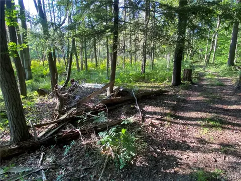 4685 Poplar Tree Rd, Wethersfield, NY 14066 photo 47