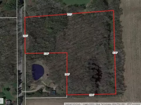 4685 Poplar Tree Rd, Wethersfield, NY 14066 photo 8