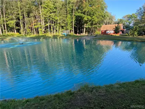 4685 Poplar Tree Rd, Wethersfield, NY 14066 photo 32